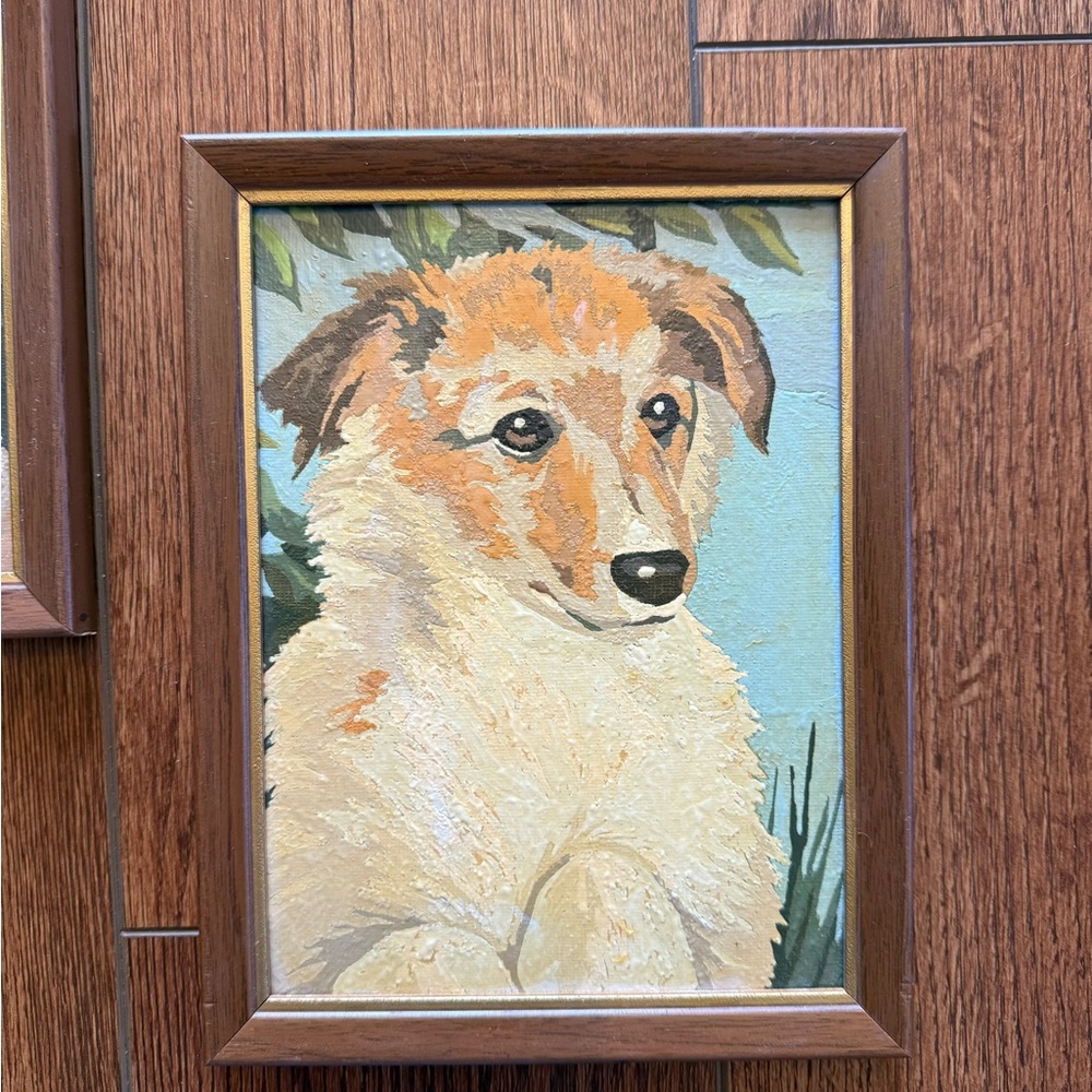 Framed Vintage Dog Paint by Number: Collie Pup